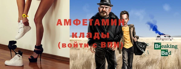 гашик Дмитриев