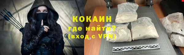 гашик Дмитриев