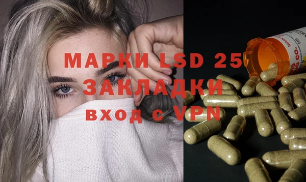 гашик Дмитриев