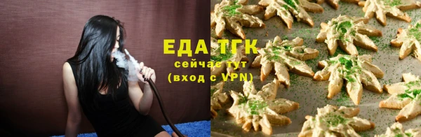 гашик Дмитриев