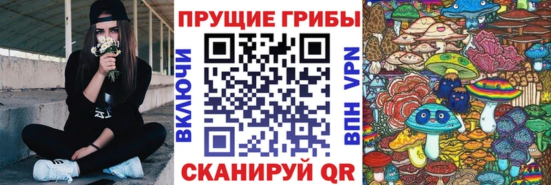 Галлюциногенные грибы Psilocybine cubensis  Купить  Ершов 